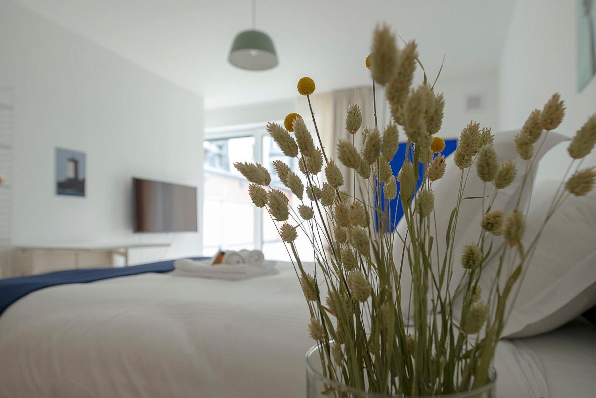 Le Petit Vasselot Appartement Rennes